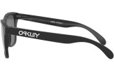 OAKLEY Frogskins Matte Black Prizm Black Polarized