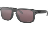 OAKLEY Holbrook Steel Collection Prizm Daily Polarized
