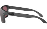 OAKLEY Holbrook Steel Collection Prizm Daily Polarized