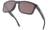 OAKLEY Holbrook Steel Collection Prizm Daily Polarized