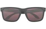 OAKLEY Holbrook Steel Collection Prizm Daily Polarized