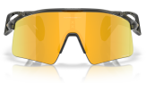 Oakley Stunt Wing Grey Smoke Prizm 24k