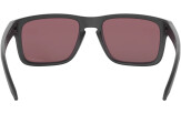 P&auml;ikeseprillid OAKLEY Holbrook erimudelid "Steel Collection" Prizm Daily Polarized