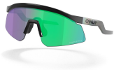 Oakley Custom