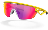 Oakley Custom