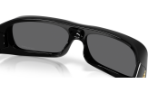 Päikeseprillid Oakley Permian Black Prizm Black