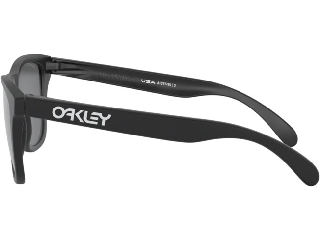 OAKLEY Frogskins Matte Black Prizm Black Polarized