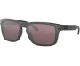 OAKLEY Holbrook Steel Collection Prizm Daily Polarized