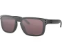 Päikeseprillid OAKLEY Holbrook Steel Collection Prizm Daily Polarized Steel Collection Prizm Daily Polarized
